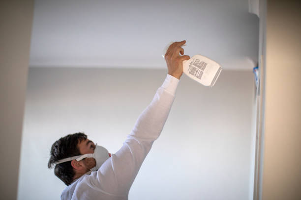 Best Mold Removal and Inspection  in East Prairie, MO